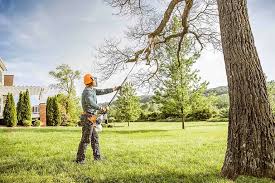 Pest Control for Lawns in Louisville, KY
