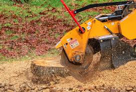 Best Weed Control  in Louisville, KY